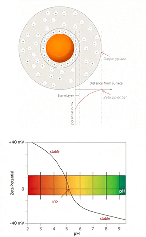 Zeta Potential Chart