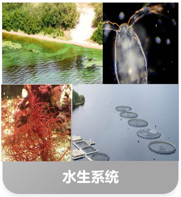 图片9.jpg