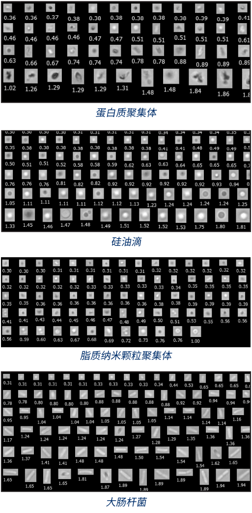 Snipaste_2025-06-06_15-48-15.png